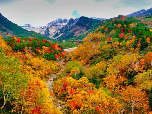 Tokachi Millennium Forest