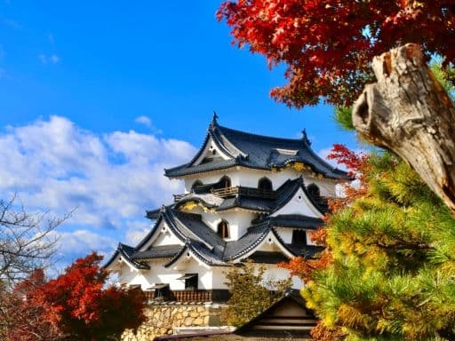 Hikone Castle