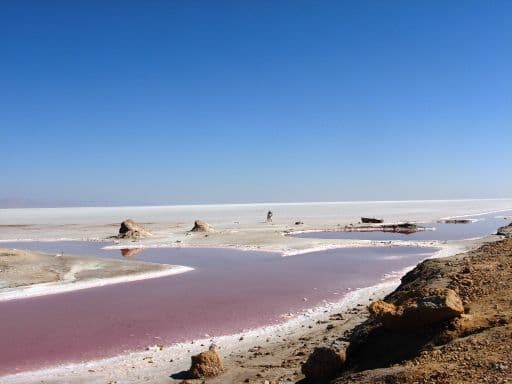 Chott El Jerid