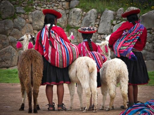 Peruvian Girls and Alpacas at Sacsayhuaman