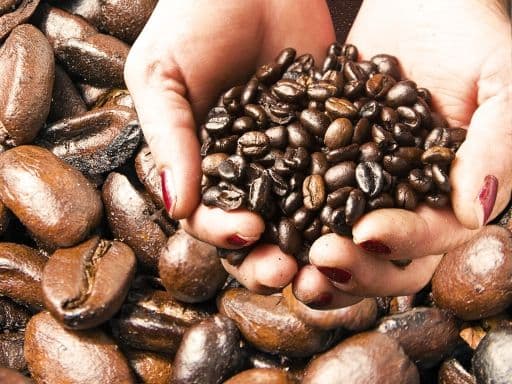 Fresh Coffee Beans