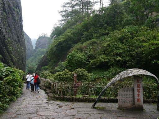 Dahongpao Scenic Area