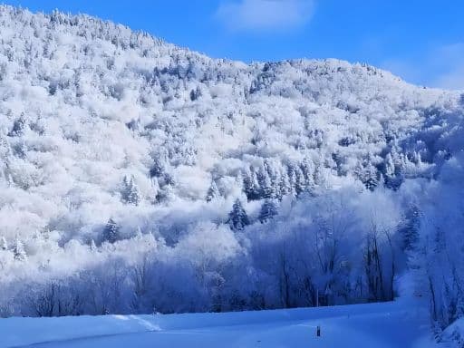 Changbai Xueling Scenic Area