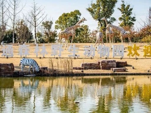 Nantong Forest Wildlife Park