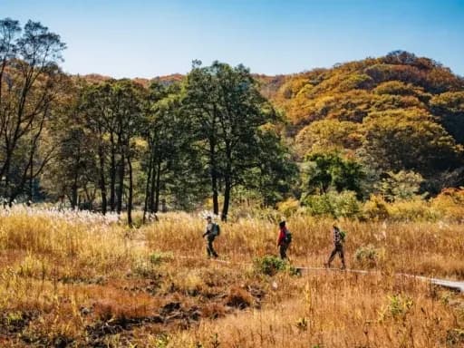 SHINETSU NATURE AND CULTURE