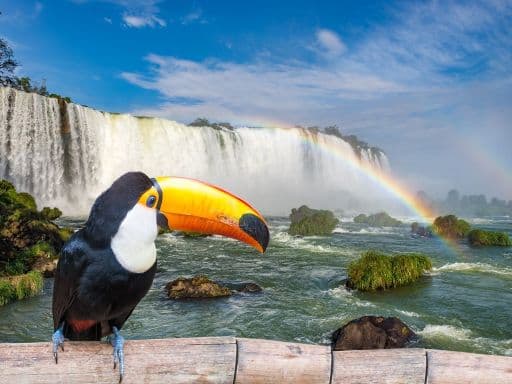 BEST OF SOUTH AMERICA - ARGENTINA, BOLIVIA, BRAZIL & PERU