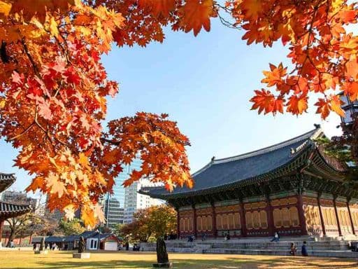 AUTUMN BRILLIANCE OF KOREA