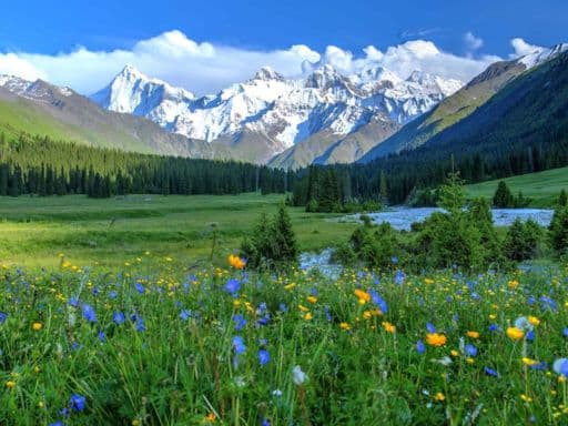 AMAZING SILKROAD + NORTHERN XINJIANG