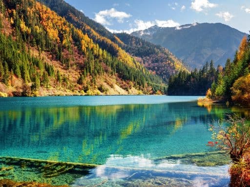 FAIRYTALE JIUZHAIGOU/MT EMEI/LESHAN