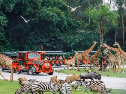 GUANGZHOU CHIMELONG & SHENZHEN TECHNOLOGY FAMILY FUN